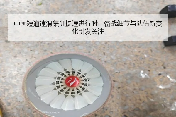 中国短道速滑集训提速进行时，备战细节与队伍新变化引发关注